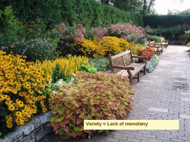 Variety = Lack of monotony 