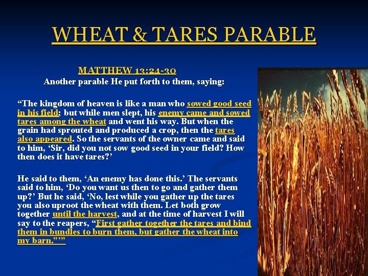 WHEAT & TARES PARABLE MATTHEW 13: 24 -30 Another parable He put forth to