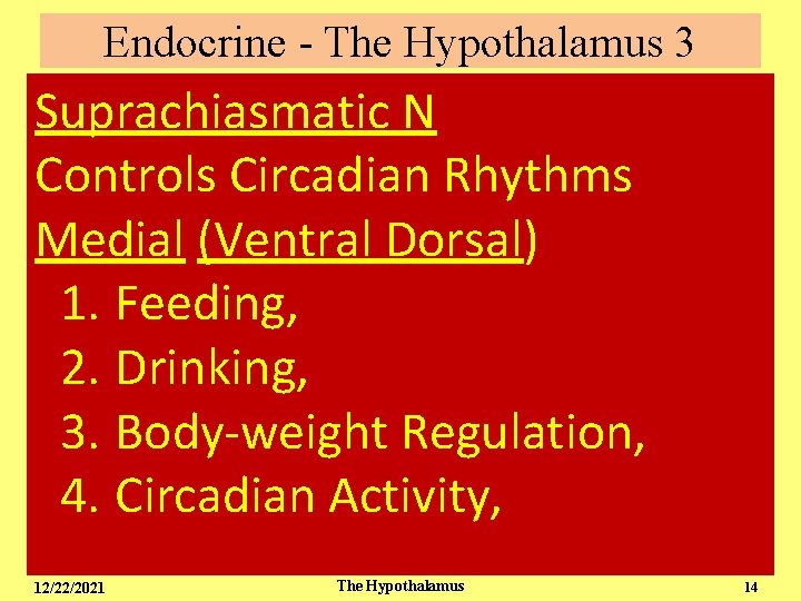 Endocrine - The Hypothalamus 3 Suprachiasmatic N Controls Circadian Rhythms Medial (Ventral Dorsal) 1.