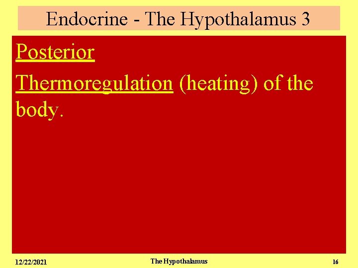 Endocrine - The Hypothalamus 3 Posterior Thermoregulation (heating) of the body. 12/22/2021 The Hypothalamus