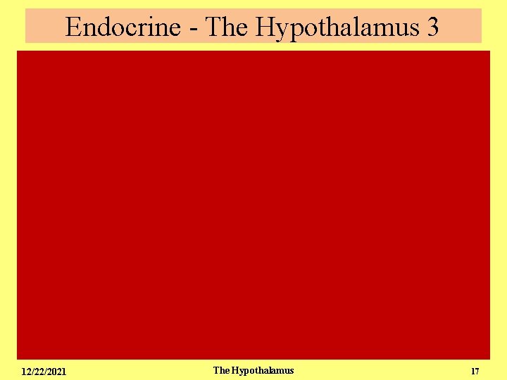 Endocrine - The Hypothalamus 3 12/22/2021 The Hypothalamus 17 