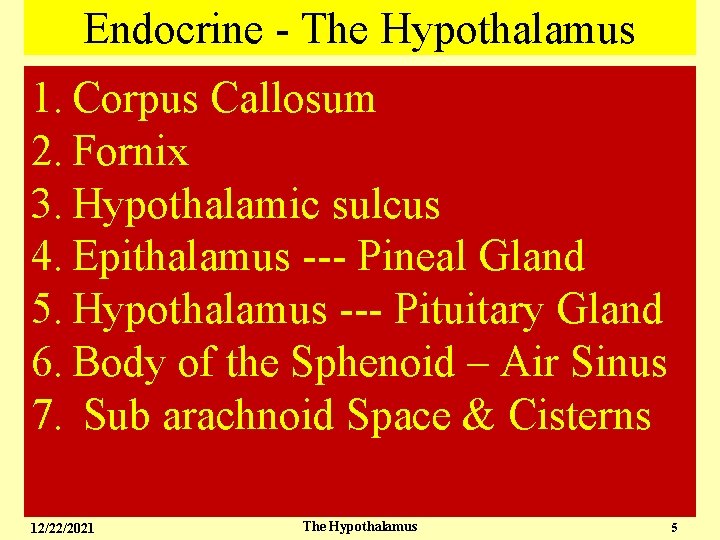 Endocrine - The Hypothalamus 1. Corpus Callosum 2. Fornix 3. Hypothalamic sulcus 4. Epithalamus