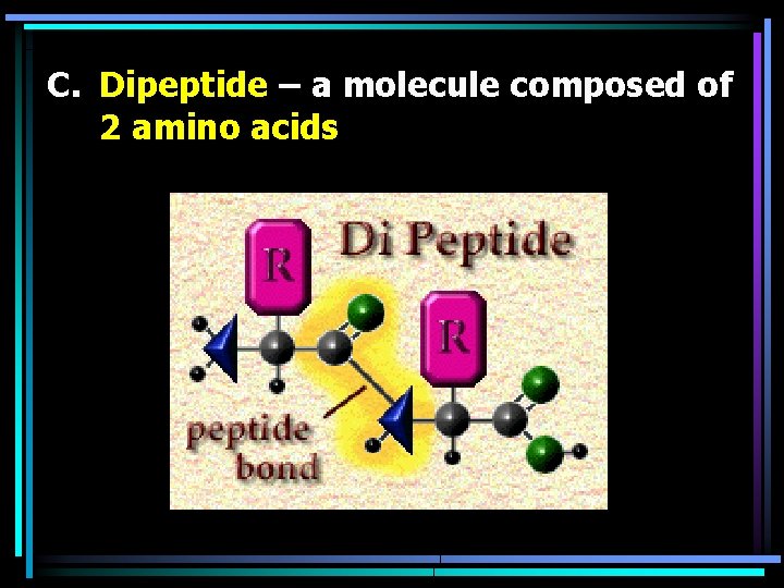 C. Dipeptide – a molecule composed of 2 amino acids 