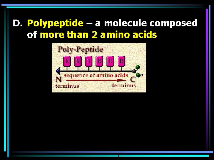D. Polypeptide – a molecule composed of more than 2 amino acids 
