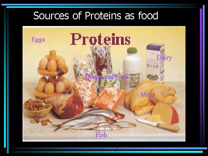 Sources of Proteins as food Eggs Dairy Beans and Nuts Meat Fish 