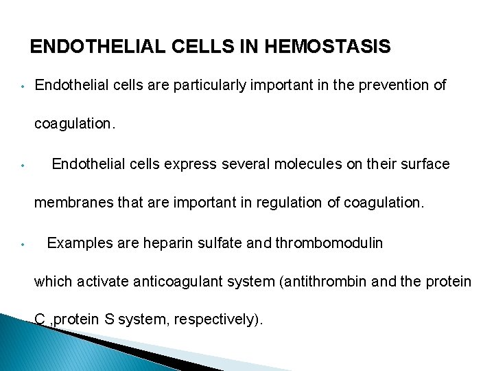 ENDOTHELIAL CELLS IN HEMOSTASIS • Endothelial cells are particularly important in the prevention of