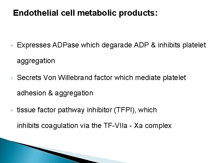Endothelial cell metabolic products: • Expresses ADPase which degarade ADP & inhibits platelet aggregation
