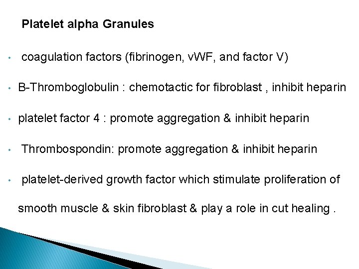 Platelet alpha Granules • coagulation factors (fibrinogen, v. WF, and factor V) • B-Thromboglobulin