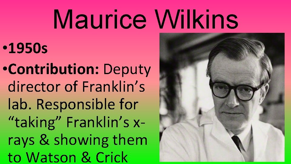 Maurice Wilkins • 1950 s • Contribution: Deputy director of Franklin’s lab. Responsible for