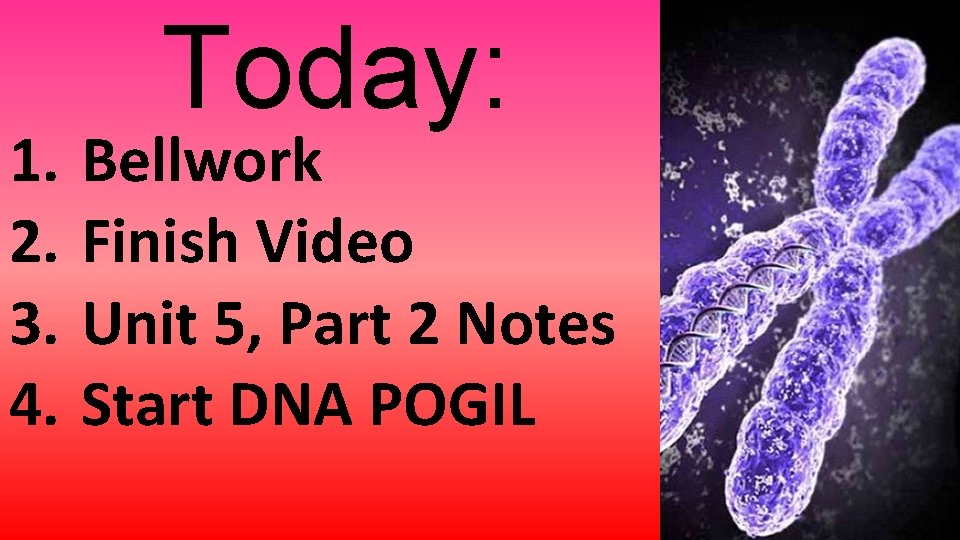 1. 2. 3. 4. Today: Bellwork Finish Video Unit 5, Part 2 Notes Start