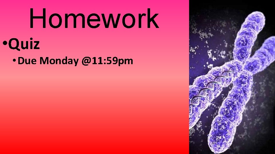 Homework • Quiz • Due Monday @11: 59 pm 