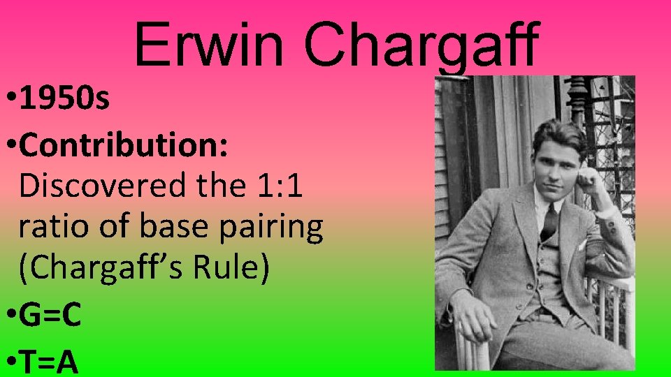 Erwin Chargaff • 1950 s • Contribution: Discovered the 1: 1 ratio of base