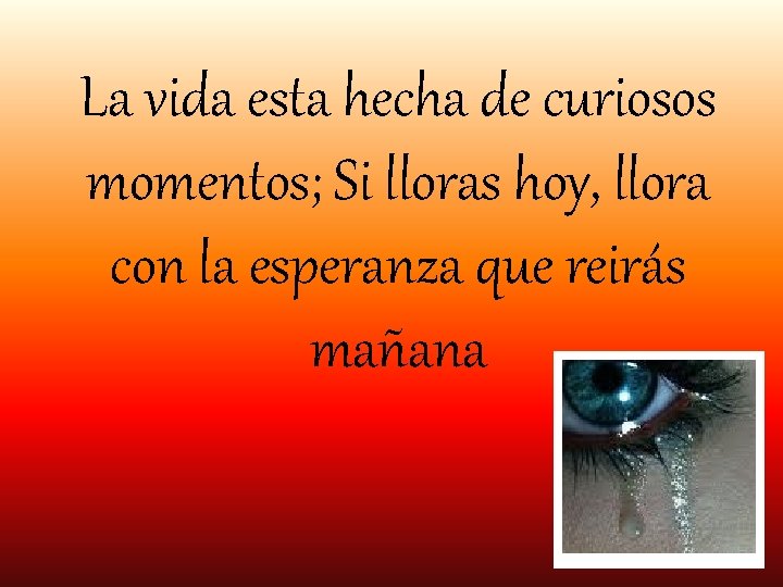 La vida esta hecha de curiosos momentos; Si lloras hoy, llora con la esperanza