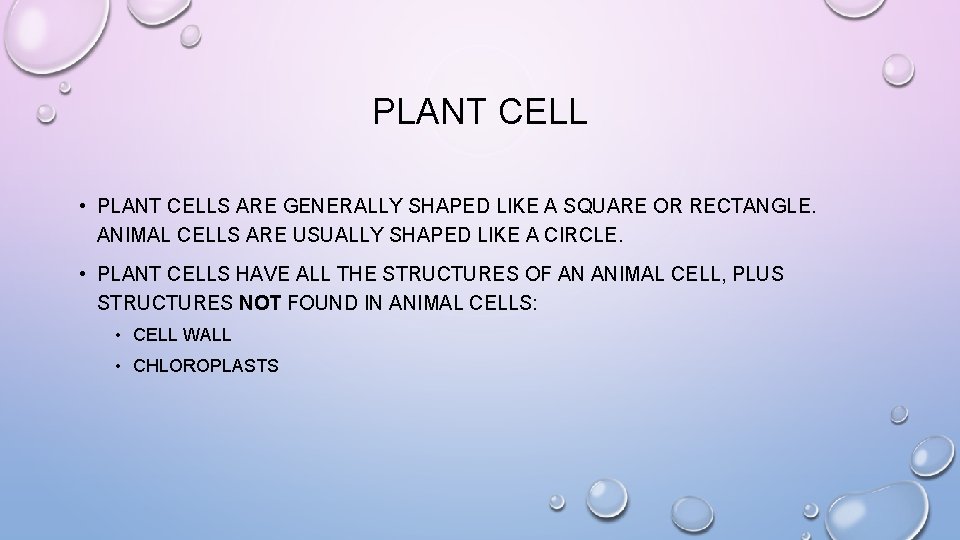 PLANT CELL • PLANT CELLS ARE GENERALLY SHAPED LIKE A SQUARE OR RECTANGLE. ANIMAL