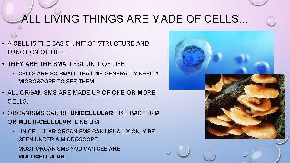 ALL LIVING THINGS ARE MADE OF CELLS… • A CELL IS THE BASIC UNIT