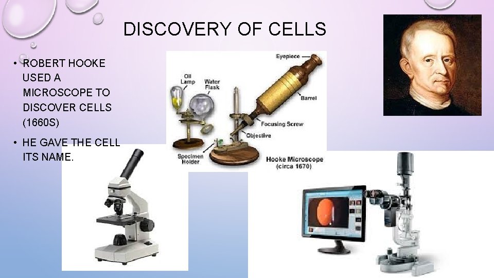 DISCOVERY OF CELLS • ROBERT HOOKE USED A MICROSCOPE TO DISCOVER CELLS (1660 S)