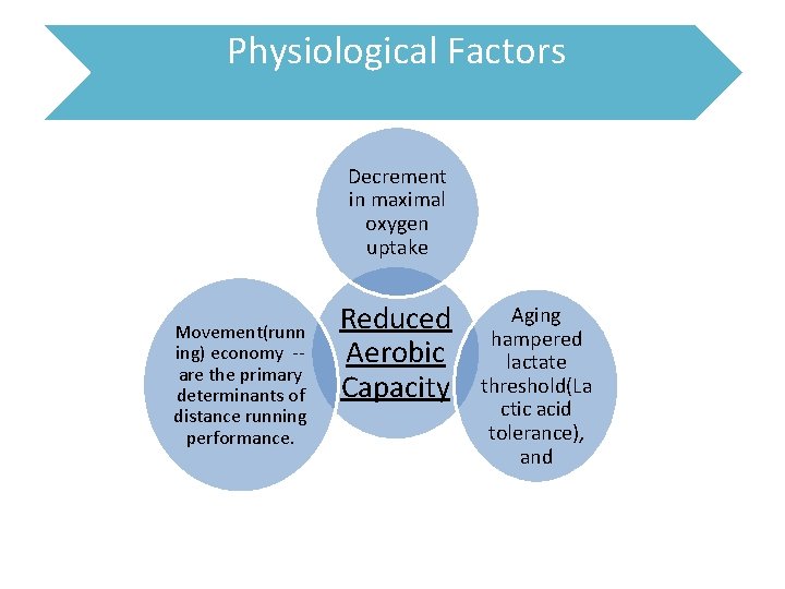Physiological Factors Decrement in maximal oxygen uptake Movement(runn ing) economy -are the primary determinants