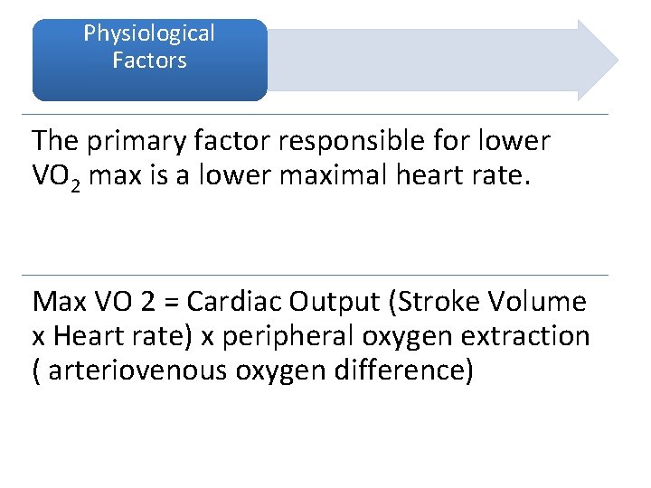 Physiological Factors The primary factor responsible for lower VO 2 max is a lower