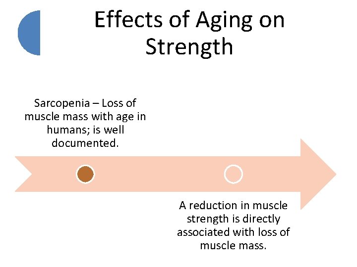 Effects of Aging on Strength Sarcopenia – Loss of muscle mass with age in