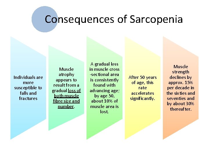Consequences of Sarcopenia Individuals are more susceptible to falls and fractures Muscle atrophy appears
