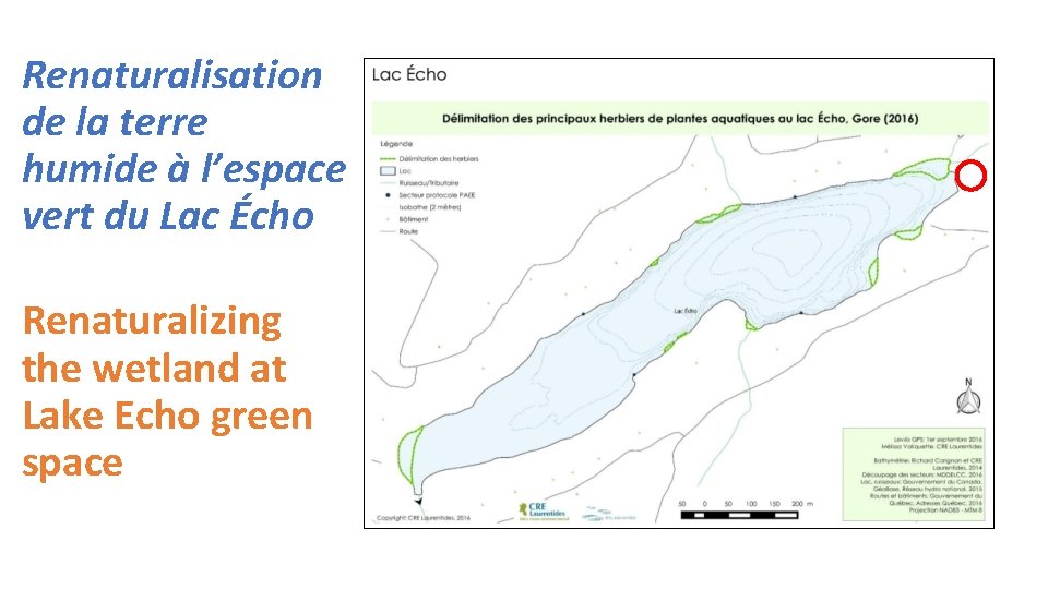 Renaturalisation de la terre humide à l’espace vert du Lac Écho Renaturalizing the wetland