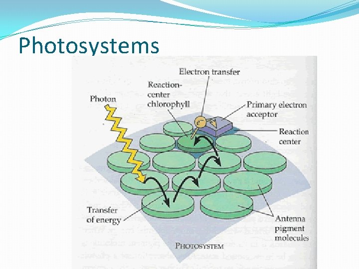 Photosystems 