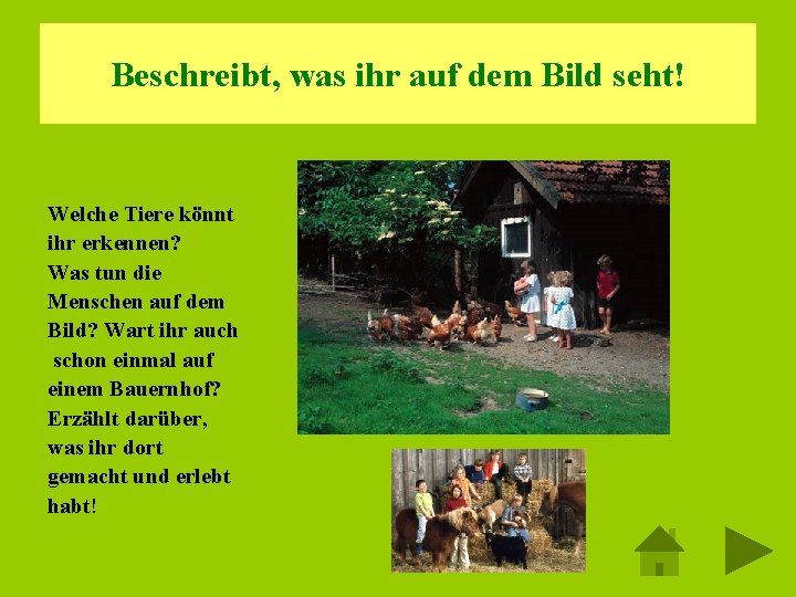 Beschreibt, was ihr auf dem Bild seht! Welche Tiere könnt ihr erkennen? Was tun