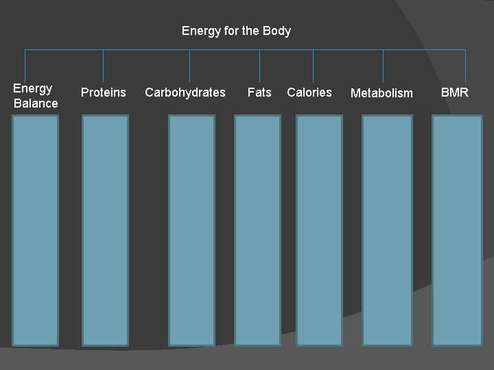 Energy for the Body Energy Balance Proteins Carbohydrates Fats Calories Metabolism BMR 