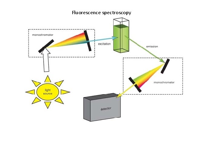 Fluorescence spectroscopy 