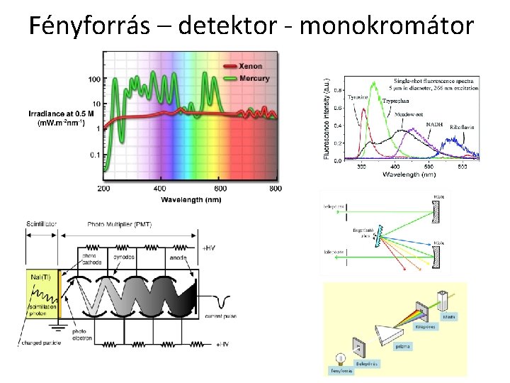 Fényforrás – detektor - monokromátor 