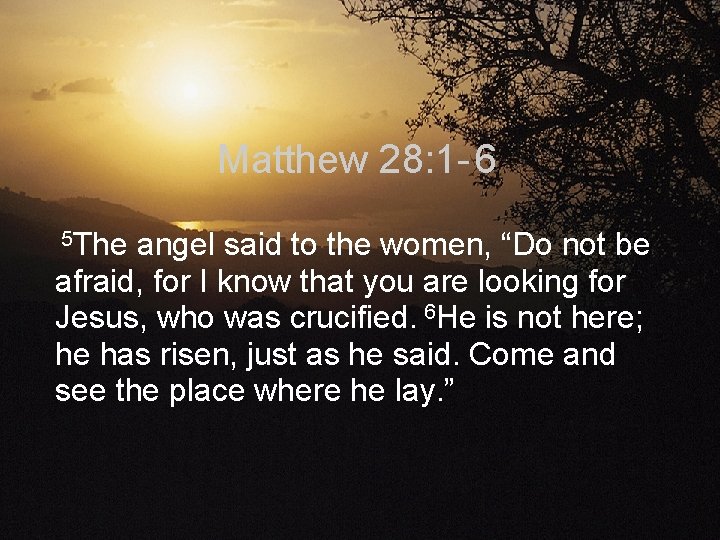 Matthew 28: 1 - 6 5 The angel said to the women, “Do not
