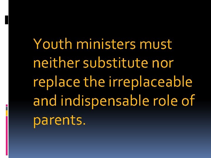 Youth ministers must neither substitute nor replace the irreplaceable and indispensable role of parents.