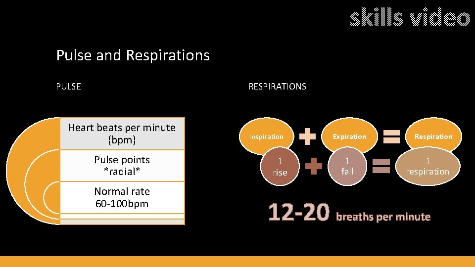 skills video Pulse and Respirations PULSE RESPIRATIONS Heart beats per minute (bpm) Pulse points