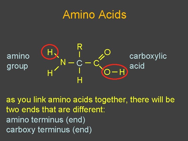 Amino Acids amino group R H N H C H O C O H