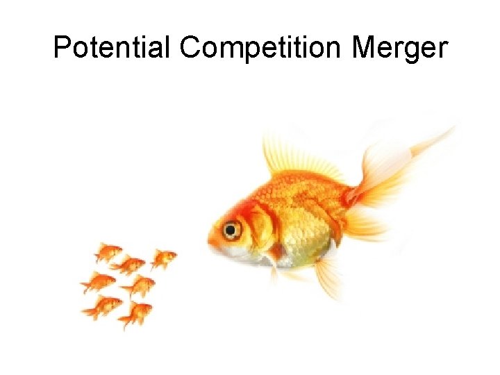 Potential Competition Merger 