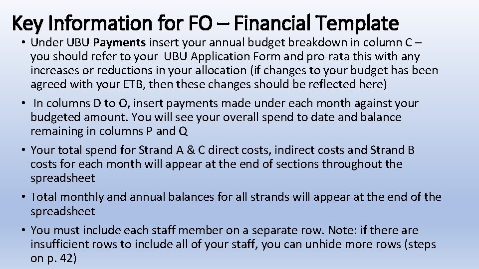 Key Information for FO – Financial Template • Under UBU Payments insert your annual