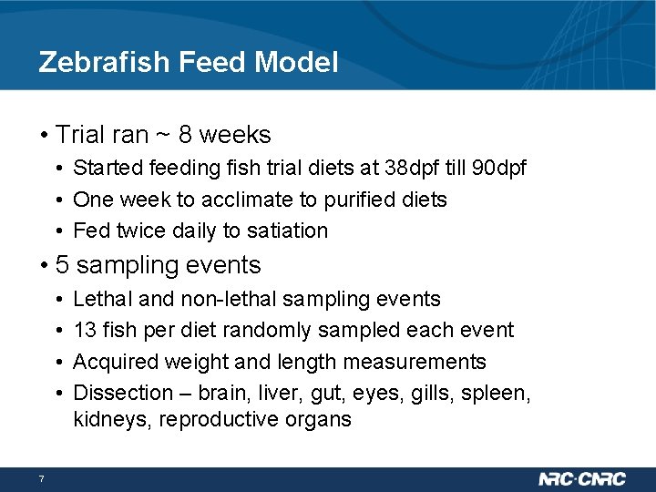 Zebrafish Feed Model • Trial ran ~ 8 weeks • Started feeding fish trial