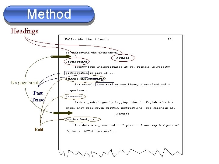 Method The Methods Section Headings Muller the liar illusion 18 to understand the phenomenon.