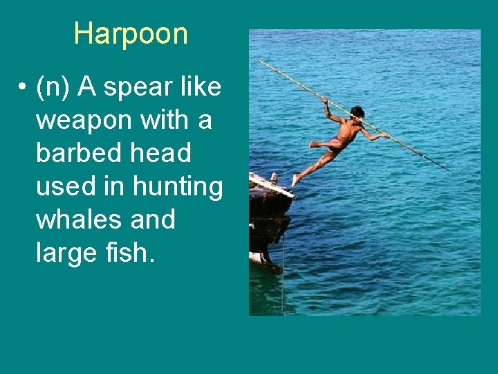 Harpoon • (n) A spear like weapon with a barbed head used in hunting