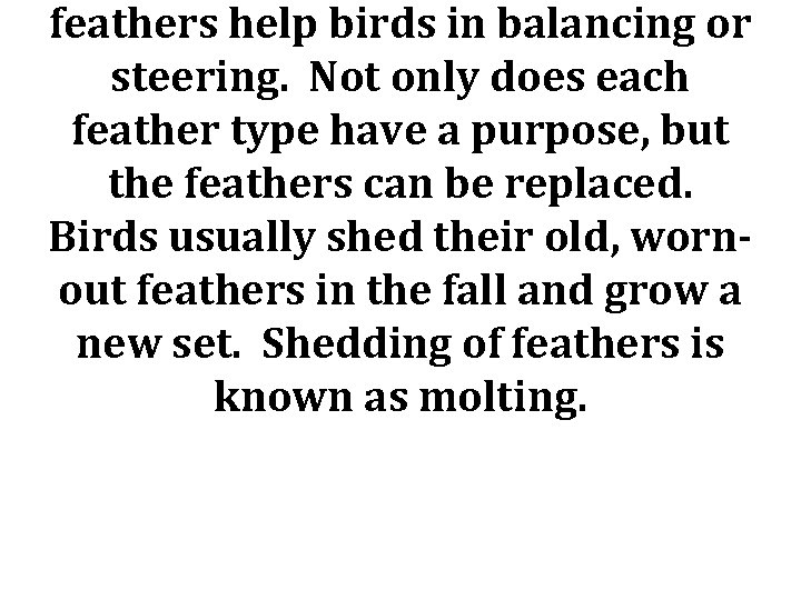 feathers help birds in balancing or steering. Not only does each feather type have