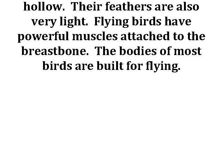 hollow. Their feathers are also very light. Flying birds have powerful muscles attached to