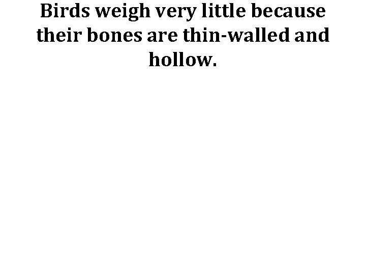 Birds weigh very little because their bones are thin-walled and hollow. 