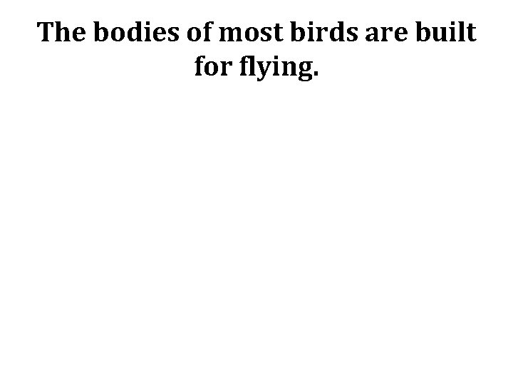The bodies of most birds are built for flying. 