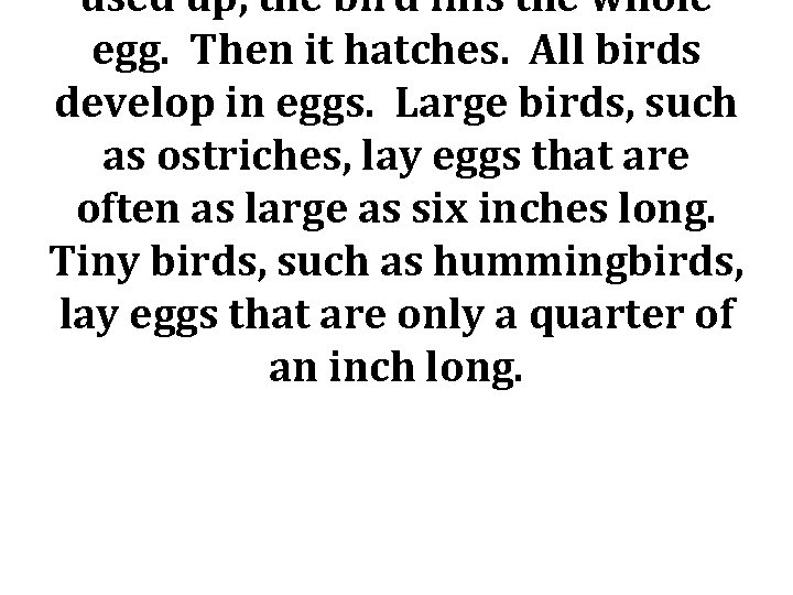 used up, the bird fills the whole egg. Then it hatches. All birds develop