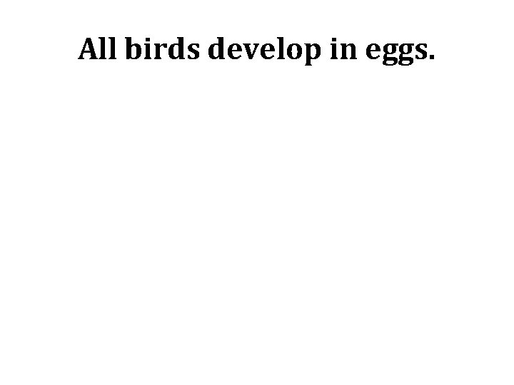 All birds develop in eggs. 