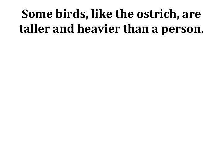 Some birds, like the ostrich, are taller and heavier than a person. 