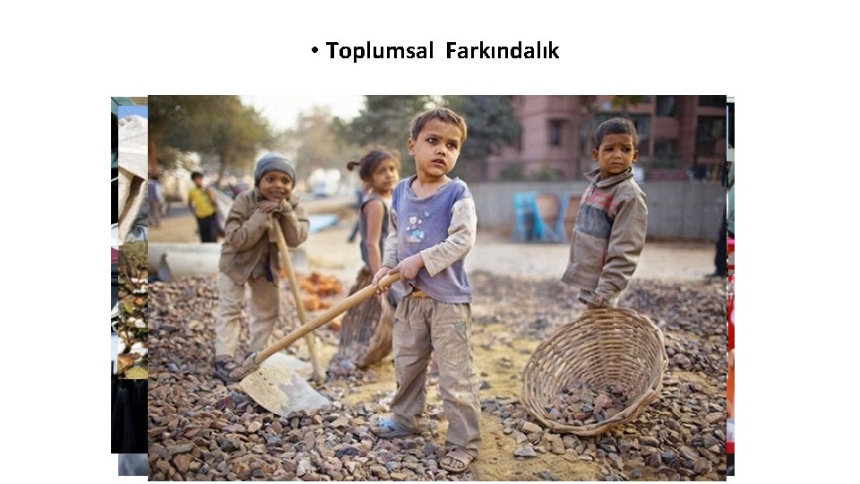  • Toplumsal Farkındalık 