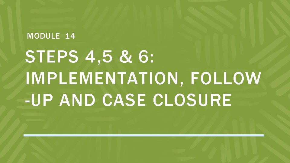 MODULE 14 STEPS 4, 5 & 6: IMPLEMENTATION, FOLLOW -UP AND CASE CLOSURE 