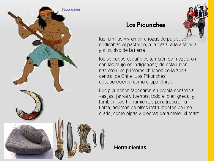 Los Picunches las familias vivían en chozas de pajas, se dedicaban al pastoreo, a