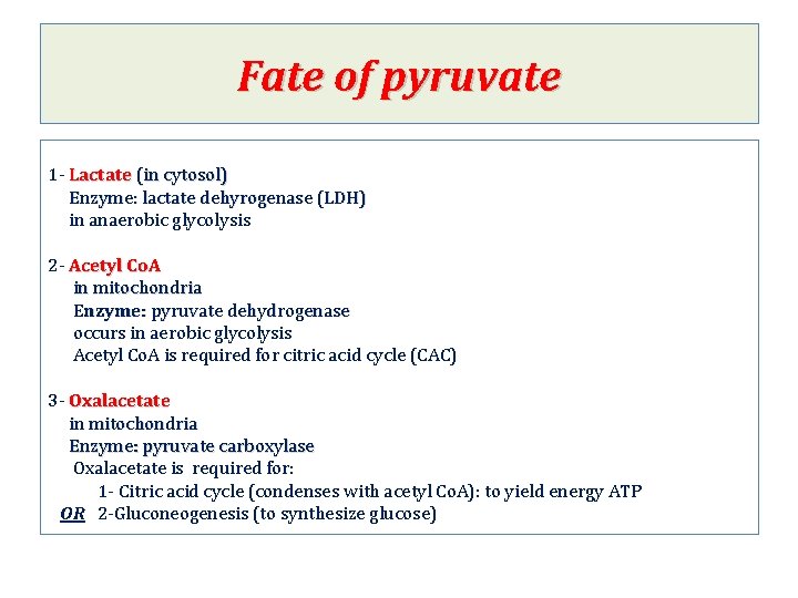 Fate of pyruvate 1 - Lactate (in cytosol) Enzyme: lactate dehyrogenase (LDH) in anaerobic